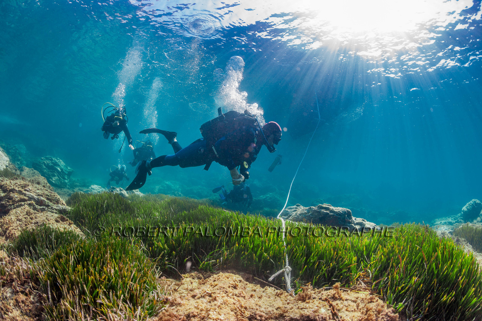 Plongée sous-marine