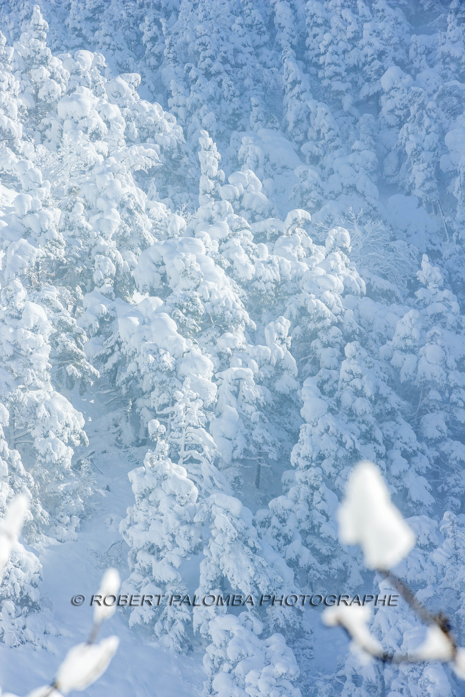 La-Colle-Saint-Michel