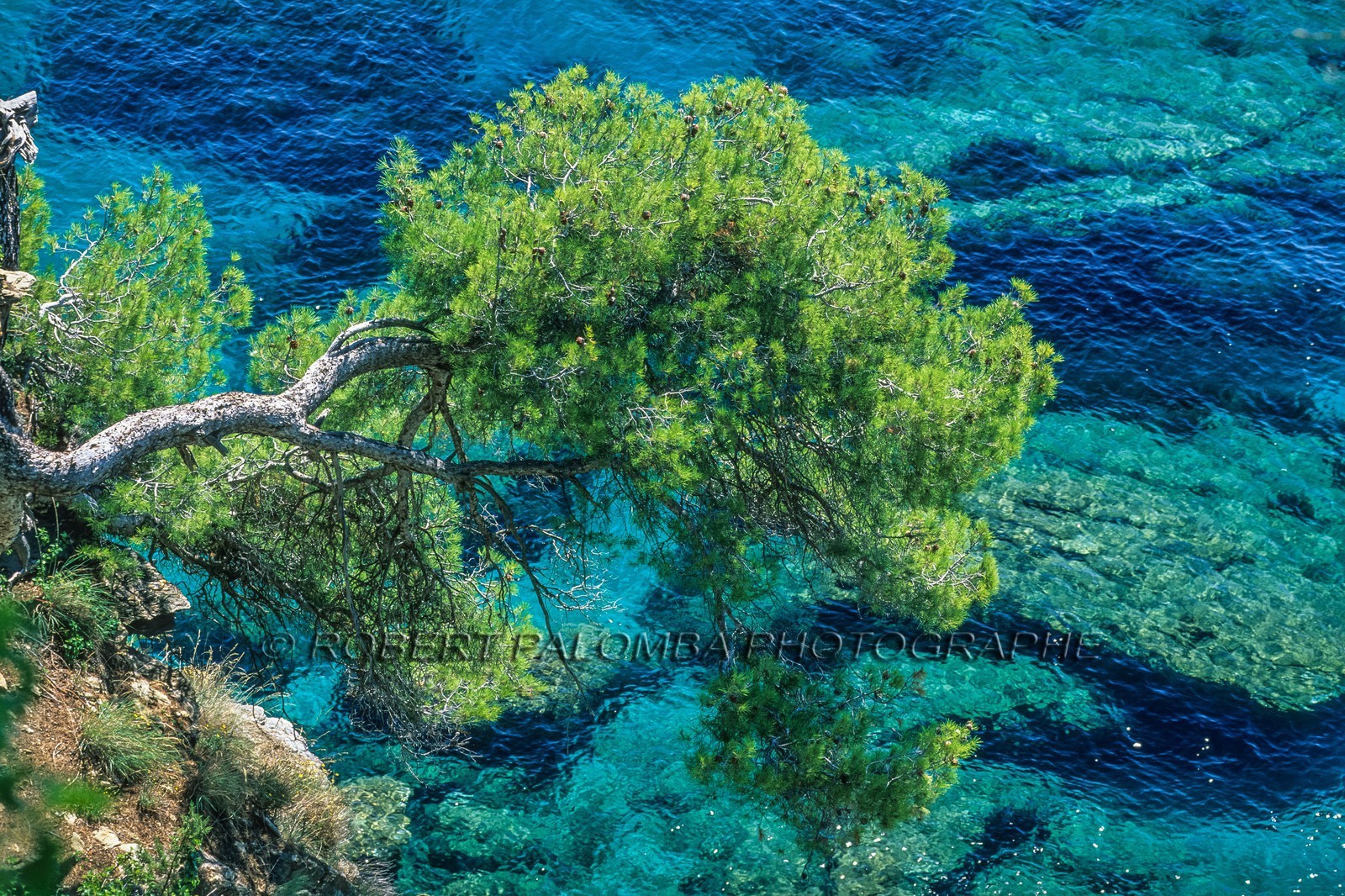 Rayol-Canadel-sur-Mer