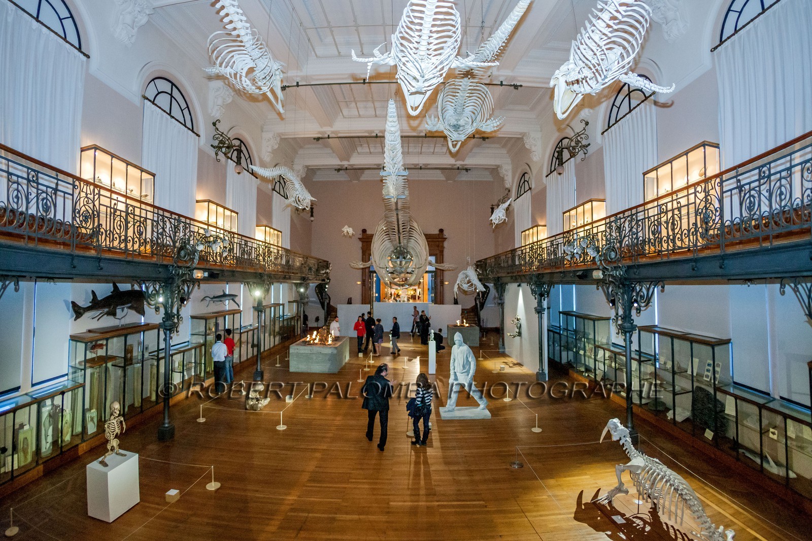 Musée Océanographique de Monaco