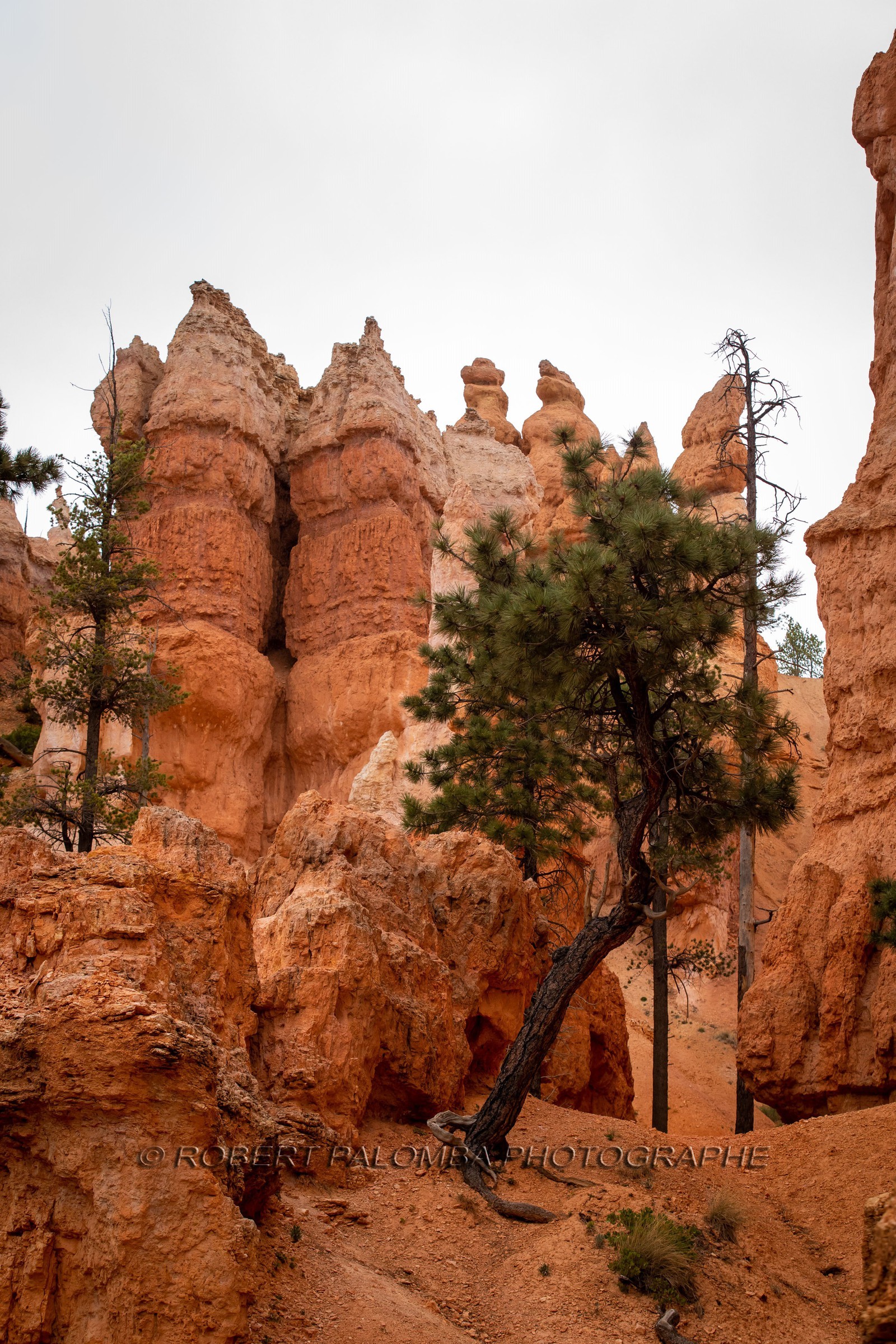 Bryce Canyon