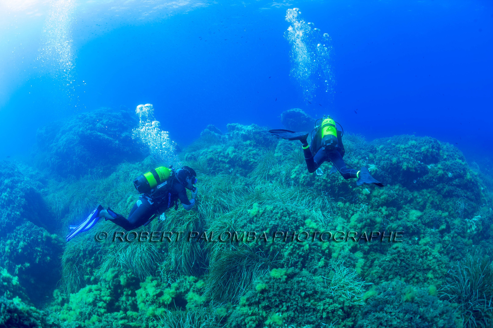 Plongée-sous-marine