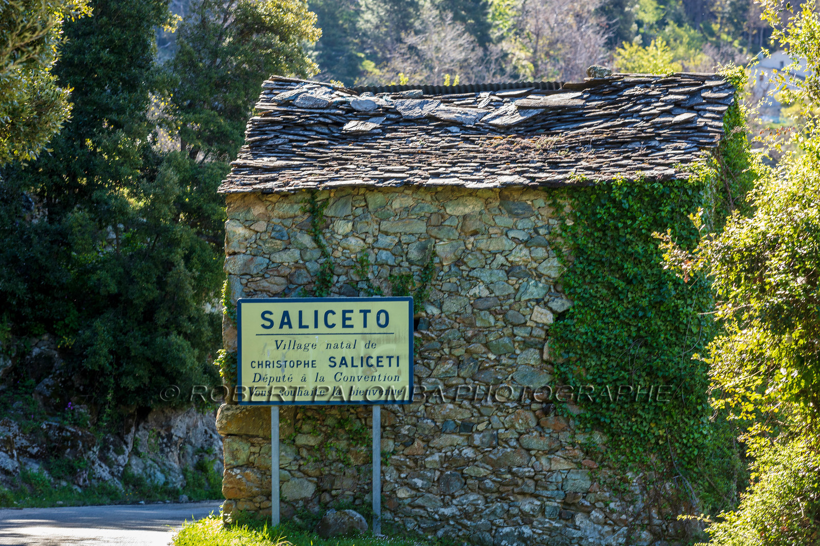 Saliceto